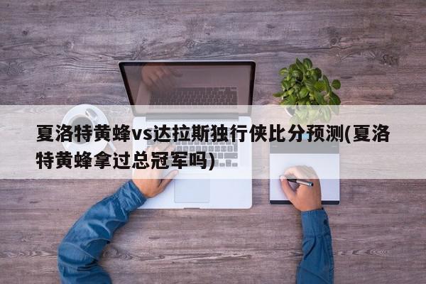 夏洛特黄蜂vs达拉斯独行侠比分预测(夏洛特黄蜂拿过总冠军吗)