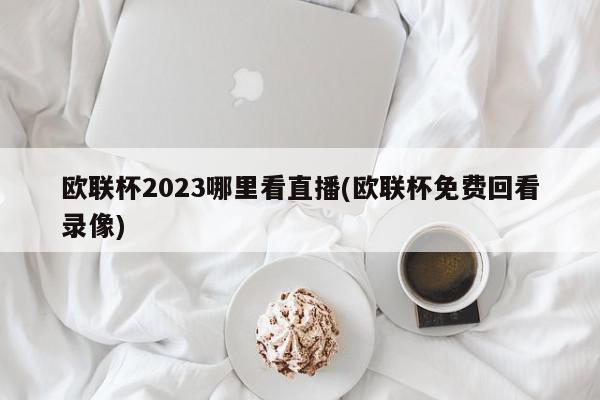 欧联杯2023哪里看直播(欧联杯免费回看录像)