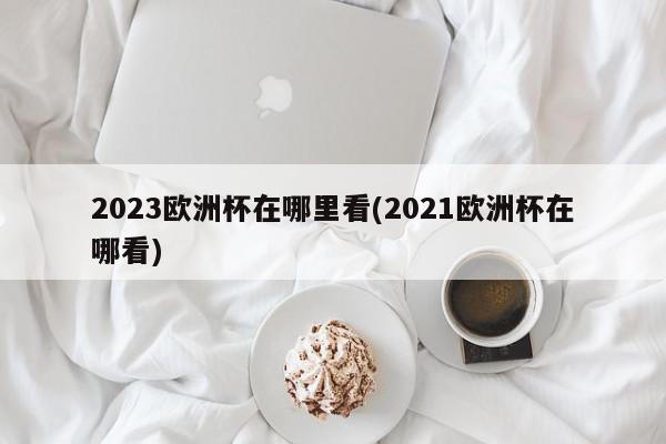 2023欧洲杯在哪里看(2021欧洲杯在哪看)