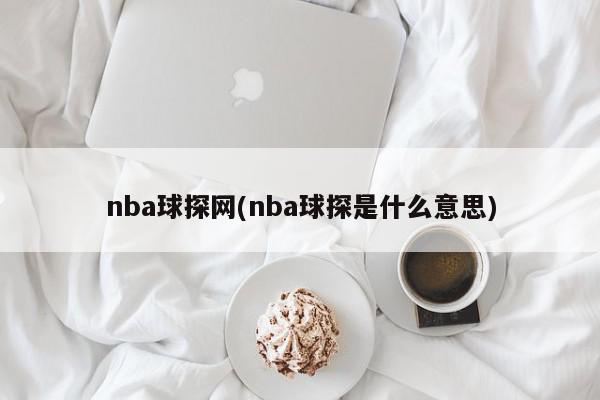 nba球探网(nba球探是什么意思)